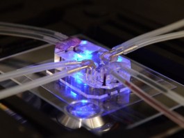 Человеческие Органы на чипах выигрывают главный приз конкурса Design of the Year 2015 human-organs