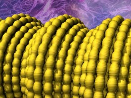 nanotube