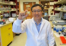 Выдержка из яичного желтка могла позволить людям с целиакией употреблять клейковину egg-yolk-