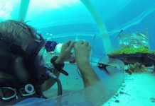 Сад Nemo позволяет выращивать земные зерновые культуры под водой (видео) plants-under-the-sea