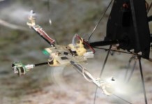 Новый глаз как у насекомых позволит дронам видеть более естественно