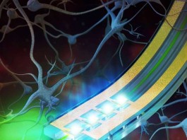 Вживляемое устройство снабжает клетки мозга светом и препаратами, когда активируется удаленно light-brain-remote-drugs
