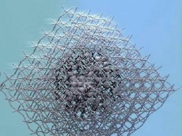 perovskite-quantum