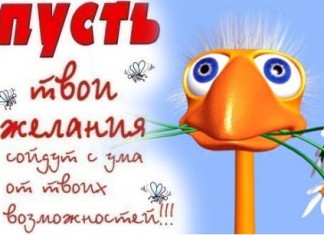 Подарите истинные эмоции!