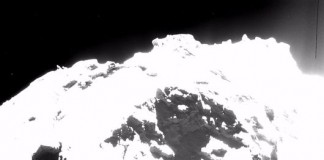 rosetta