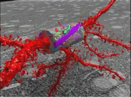 brain-imaging-tool-nanoscale-resolution-2@2x