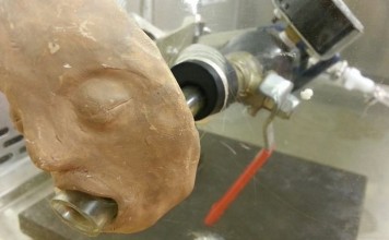 Создан блевотрон для изучения заболеваний кишечника