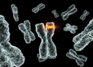 Мутагенность лекарств и болезней