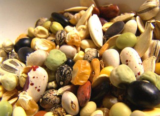 Выращивание овощей как хобби