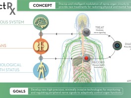 DARPA проводит захватывающий эксперимент над функцией самозаживления организма