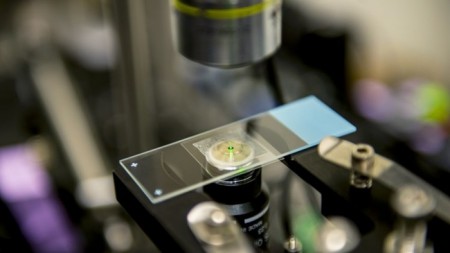 Первый замораживающий лазер поспособствует биологическим исследованиям