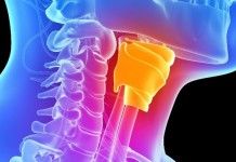 Ученые сумели вырастить голосовые связки