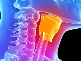 Ученые сумели вырастить голосовые связки