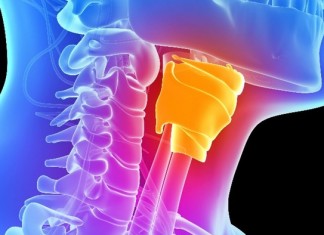 Ученые сумели вырастить голосовые связки