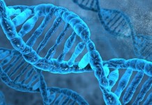 Ученые в Торонто отключали гены чтобы найти самые нужные