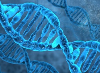 Ученые в Торонто отключали гены чтобы найти самые нужные