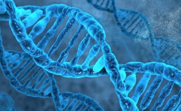 Ученые в Торонто отключали гены чтобы найти самые нужные