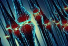 Австралийские ученые обнаружили белок влияющий на болезнь Альцгеймера