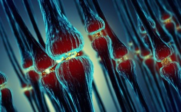 Австралийские ученые обнаружили белок влияющий на болезнь Альцгеймера