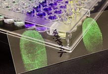 Ученые обнародовали инновационный метод дактилоскопии