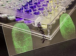 Ученые обнародовали инновационный метод дактилоскопии