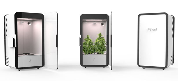 аппаратура для выращивания марихуаны