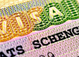 Выдача виз быстро и правильно!