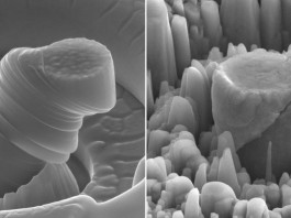 Ученые придумали как «усилить» распространенные и слабые металлы Ученые придумали как "усилить" распространенные и слабые металлы