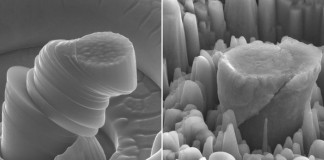 Ученые придумали как "усилить" распространенные и слабые металлы