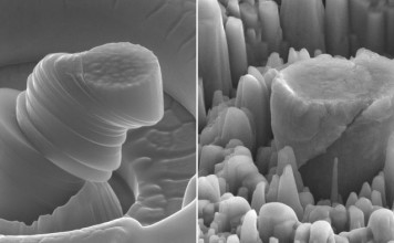 Ученые придумали как «усилить» распространенные и слабые металлы Ученые придумали как "усилить" распространенные и слабые металлы