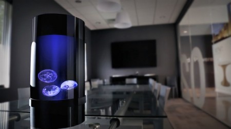 Разработан аквариум для содержания медуз в домашних условиях