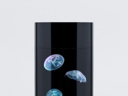 Разработан аквариум для содержания медуз в домашних условиях Разработан аквариум для содержания медуз в домашних условиях