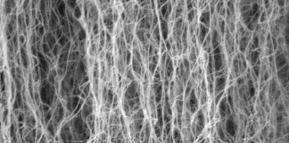 Создан нано-лес способный ловить вирусы