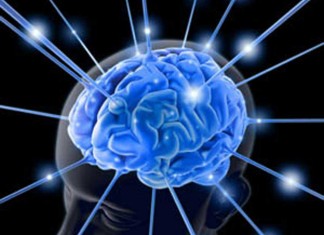 Научные изыскания в сети