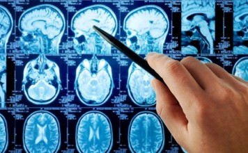 Создана жировая клетка способная прорвать раковую мембрану