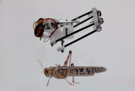 Создан робот саранча прыгающий на 3 метра в высоту