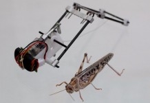 Создан робот саранча прыгающий на 3 метра в высоту