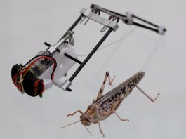 Создан робот саранча прыгающий на 3 метра в высоту