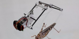 Создан робот саранча прыгающий на 3 метра в высоту