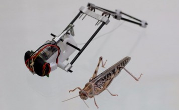 Создан робот саранча прыгающий на 3 метра в высоту