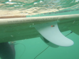 Каждый серфер скоро сможет стать ученым океанографом