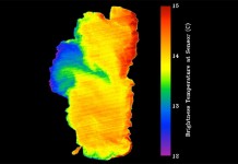 Ученые выявили серьезное повышение температур на озерах