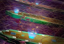 Ученые создали зонд для работы в мозге