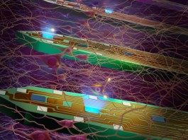 Ученые создали зонд для работы в мозге