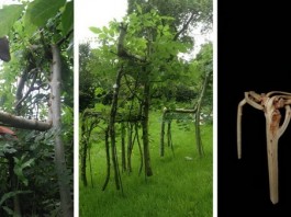 Full Grown — компания выращивающая мебель прямо на грядках Full Grown - компания выращивающая мебель прямо на грядках