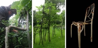 Full Grown - компания выращивающая мебель прямо на грядках