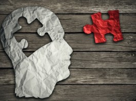 Ученые обнаружили молекулу влияющую на функционирование мозга