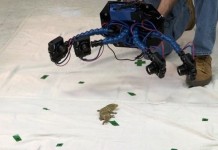 Построен аппарат сканирующий животных в 3D