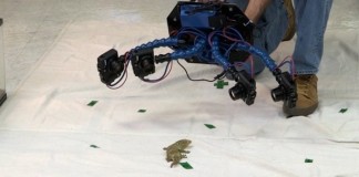 Построен аппарат сканирующий животных в 3D