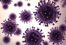 Ученые хотят закрыть "проход" от вируса гриппа